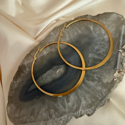 Timeless Hoops