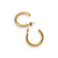 Classic Gold Hoops