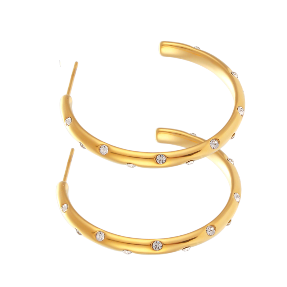 Shimmering Gold Hoops