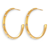 Shimmering Gold Hoops